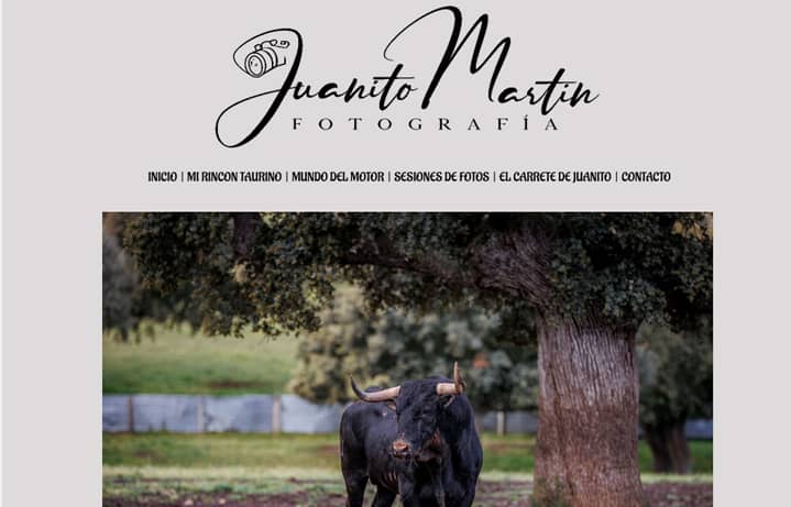 Juanito Martin fotografías taurinas